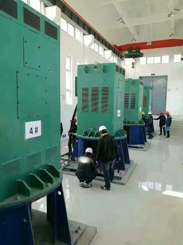 雁江某污水处理厂使用我厂的立式高压电机安装现场