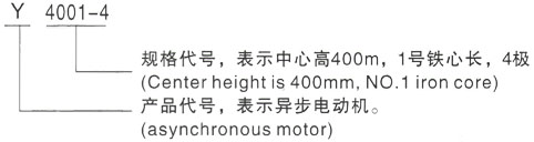 西安泰富西玛Y系列(H355-1000)高压雁江三相异步电机型号说明
